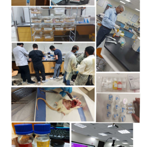 Animal House Facilities