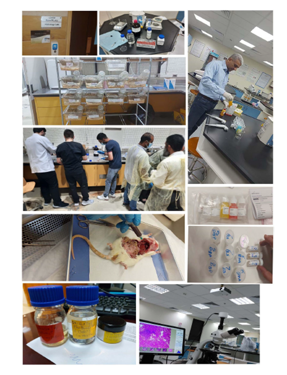 Animal House Facilities