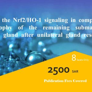 Role of the Nrf2/HO-1 signaling in compensatory hypertrophy of the remaining submandibular salivary gland after unilateral gland resection in rats