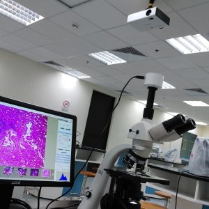 Microscopic Slide Imaging and Interpretation